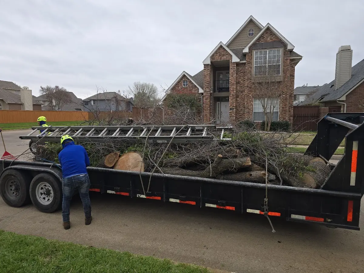 Expert Tree Removal with proper safety equipment in Gordonville